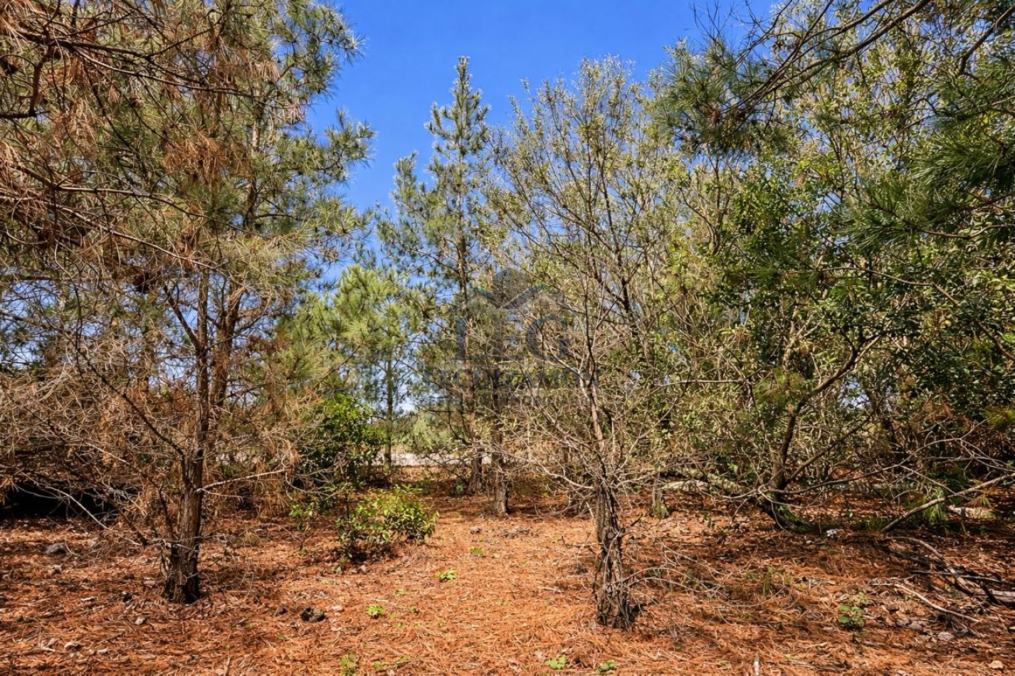 Lote en Venta Costa Esmeralda Sector Ecuestre 901m²