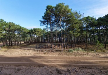 Lote en Bosques Pinamar Norte 1.095 m² en Cul de Sac